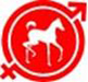 Arabian Foal Association