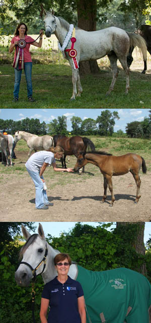 Photo collage of members and their Shagya-Arabians